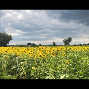 Meet your Posher, Doris